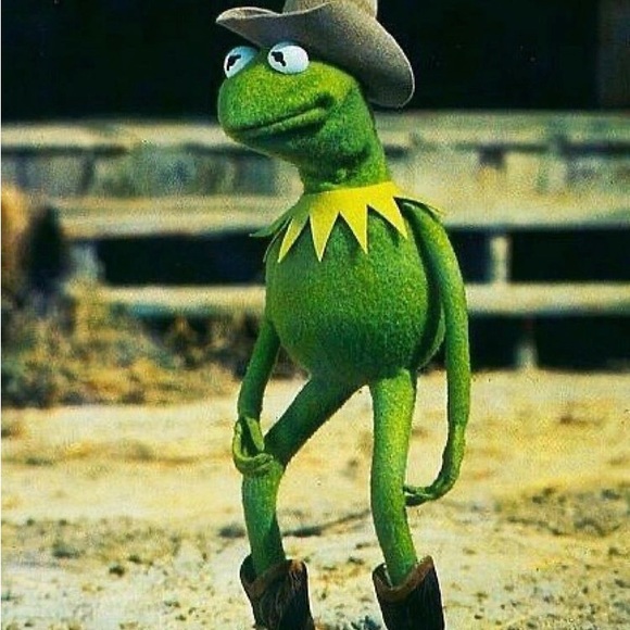 Meet your Posher, Grace - Picture 1 of 1